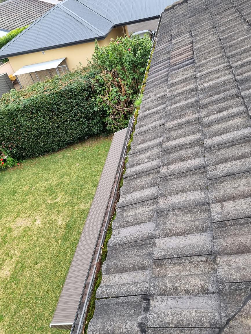 Gutter cleaning in the Hawkesbury — before